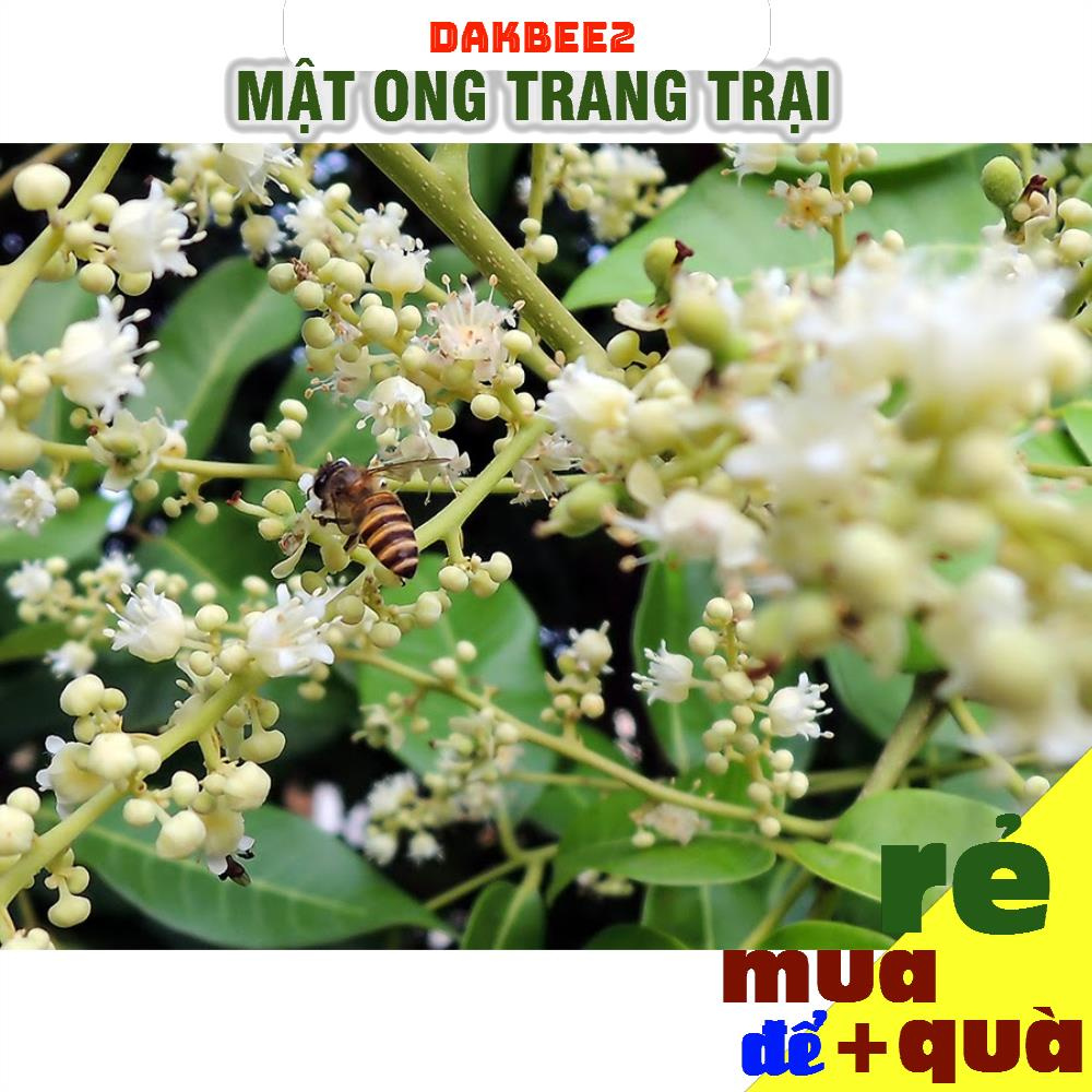 Mật ong rừng hoa Nhãn - hỗ trợ trị đau dạ dày, chữa ho, khàn tiếng, ngăn ngừa các bệnh khó chữa - dakbee