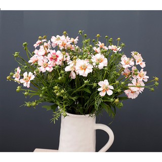 Bó hoa cánh bướm