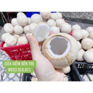 Dừa Xiêm Bến Tre