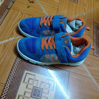 Giay tt nữ 250k/2d