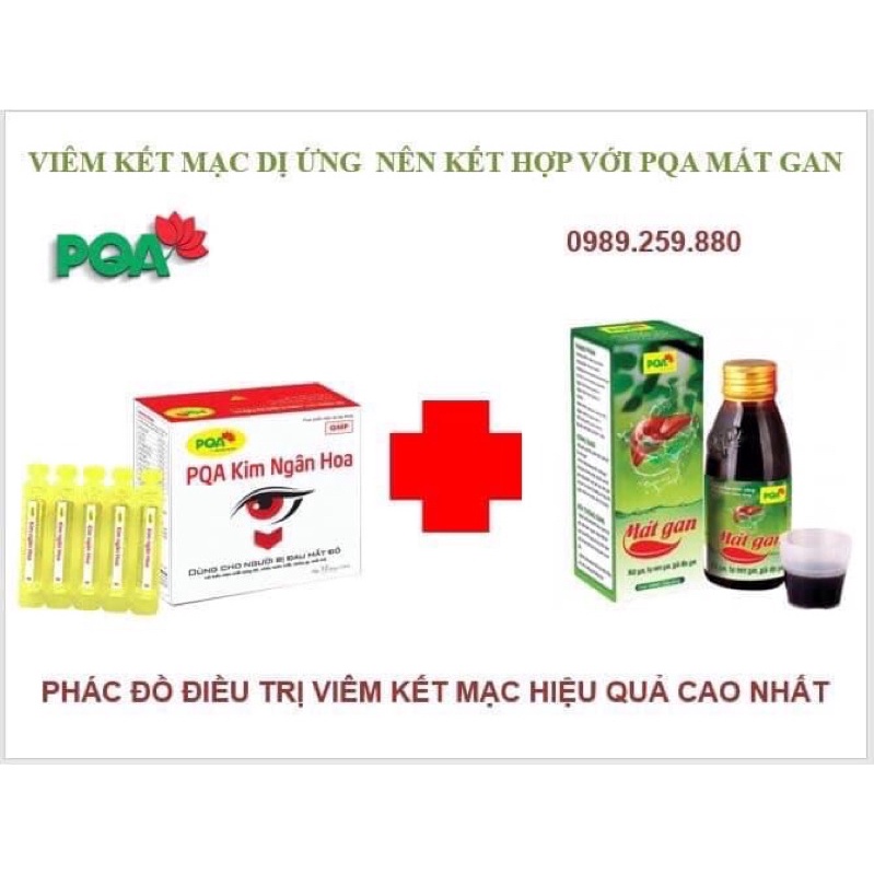 [Chính Hãng PQA] Kim ngân hoa PQA cho người bị viêm kết mạc, đau mắt đỏ mãn tính Hộp 10 ống cao lỏng