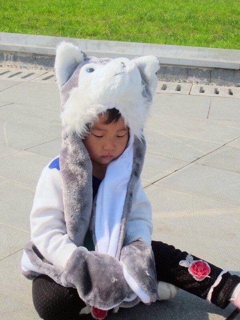 Khăn mũ thú liền găng động vật, mũ liền khăn hình gấu, sói, thỏ