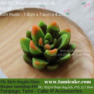 Khuôn silicon 4D xương rồng 1797 / 1806