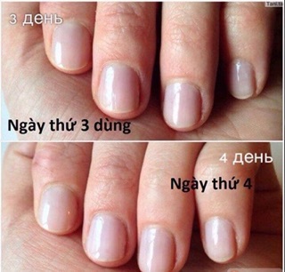 SƠN DƯỠNG MÓNG TAY EVELINE NGA