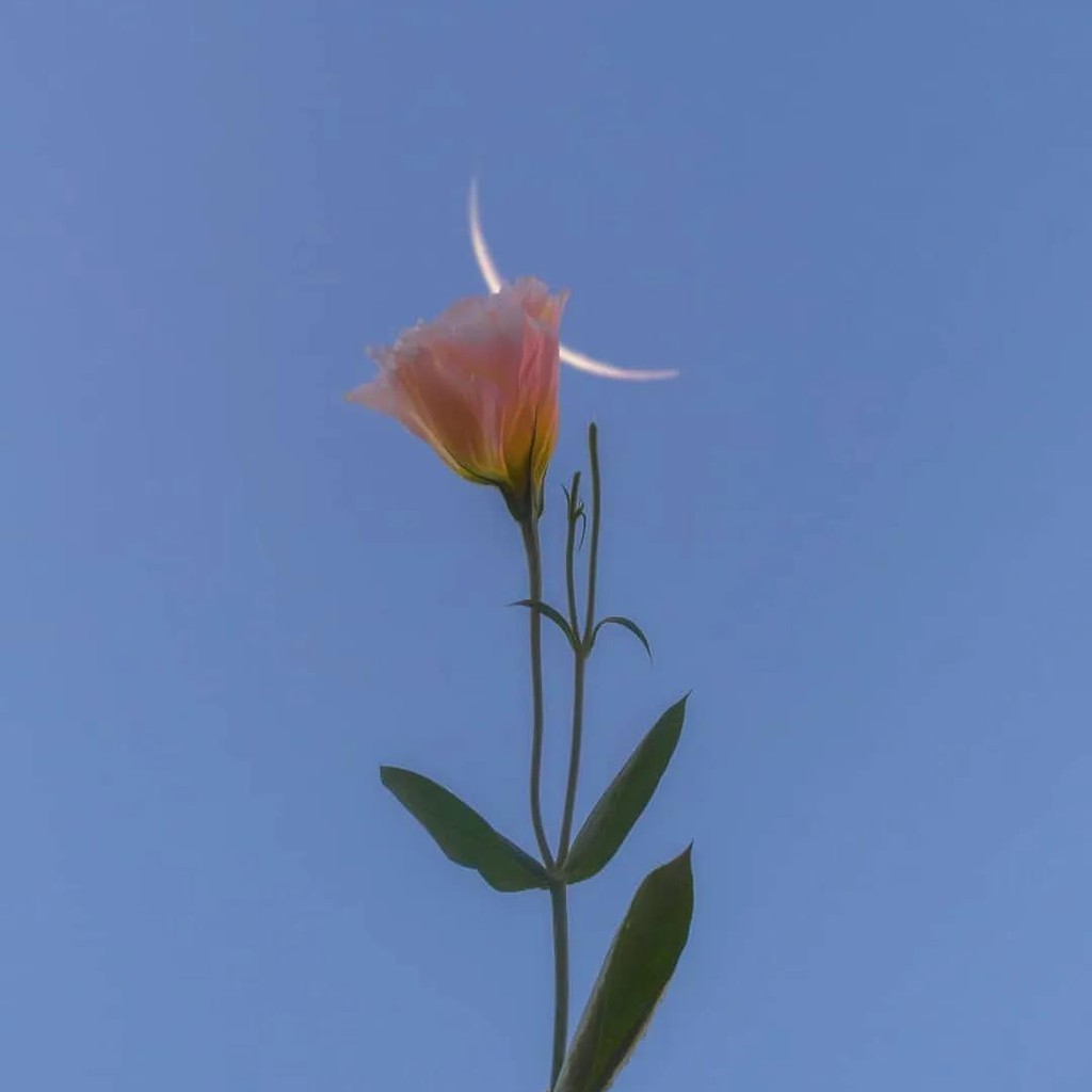 maotao.vn, Cửa hàng trực tuyến | BigBuy360 - bigbuy360.vn