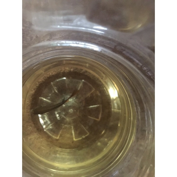 Cá lia thia đồng ( cá cờ )