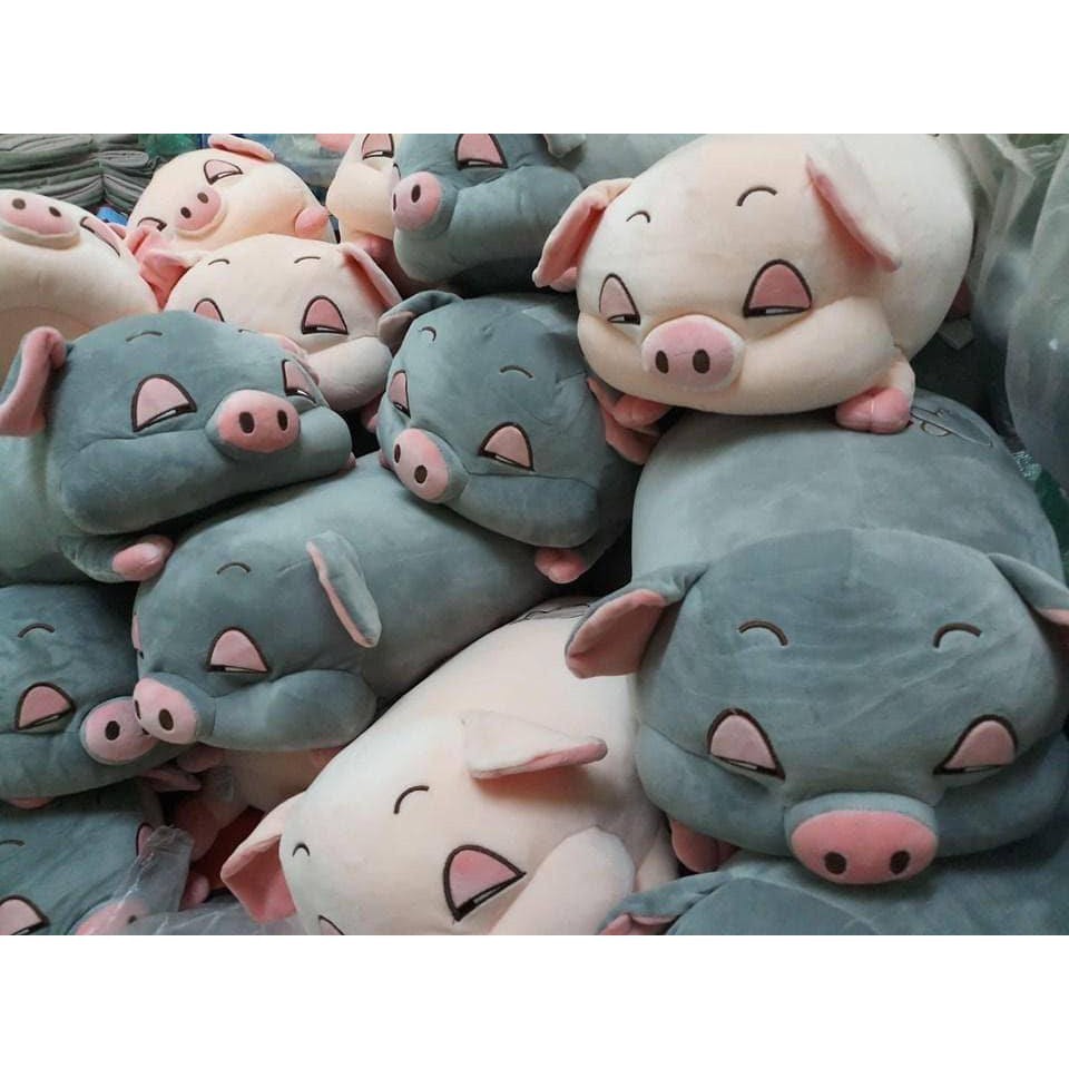 🐷🐷🐷 Gấu Bông Hình Heo Lười Mềm Mịn Siêu Đáng Yêu Nhiều Size - KHÔNG KÈM CHĂN🐷🐷🐷