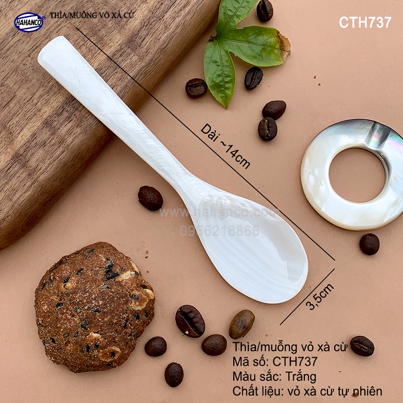 Thìa vỏ Xà Cừ dáng truyền thống (size M: 13,5cm) ăn kem / xúc gia vị / thìa cafe - CTH737 - HAHANCO