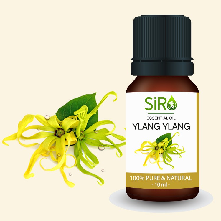 TINH DẦU NGỌC LAN TÂY YLANG YLANG