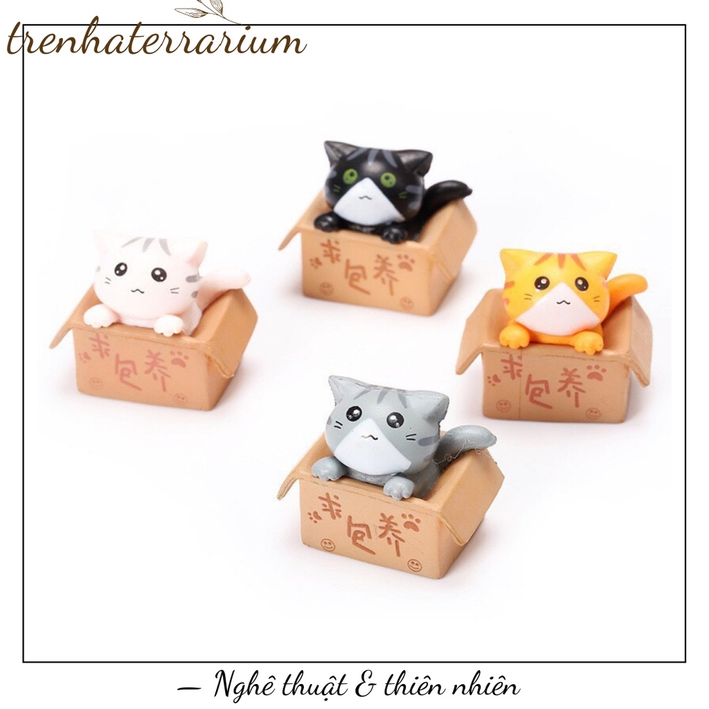 Tiểu cảnh mèo ngồi hộp trang trí sen đá, xương rồng, terrarium, charm slime, cây cảnh mini, cây để bàn, đồ trang trí
