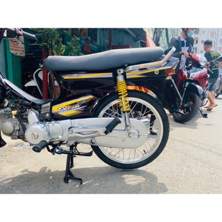 tem dream mẫu zin ...