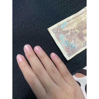 Nailbox móng úp dán thiết kế da beo đỏ