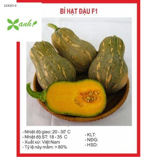 Hạt giống bí đậu - bí đỏ lai f1