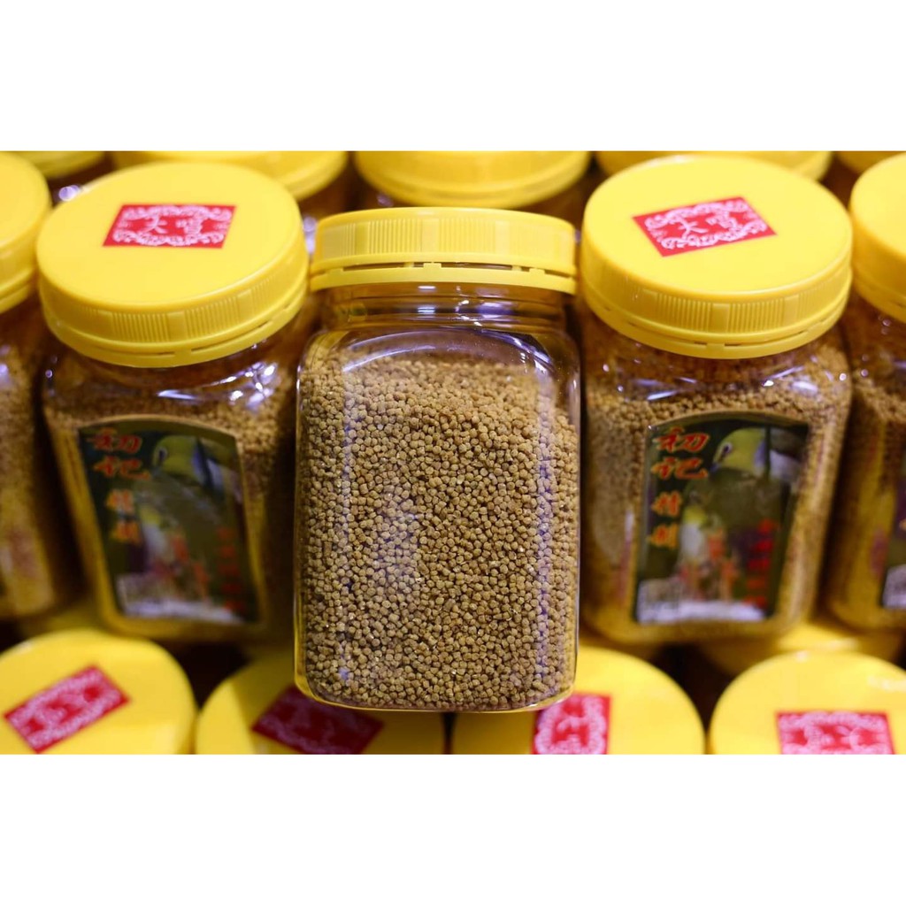 Cám Vàng  chim vành khuyên Tuấn Cóng