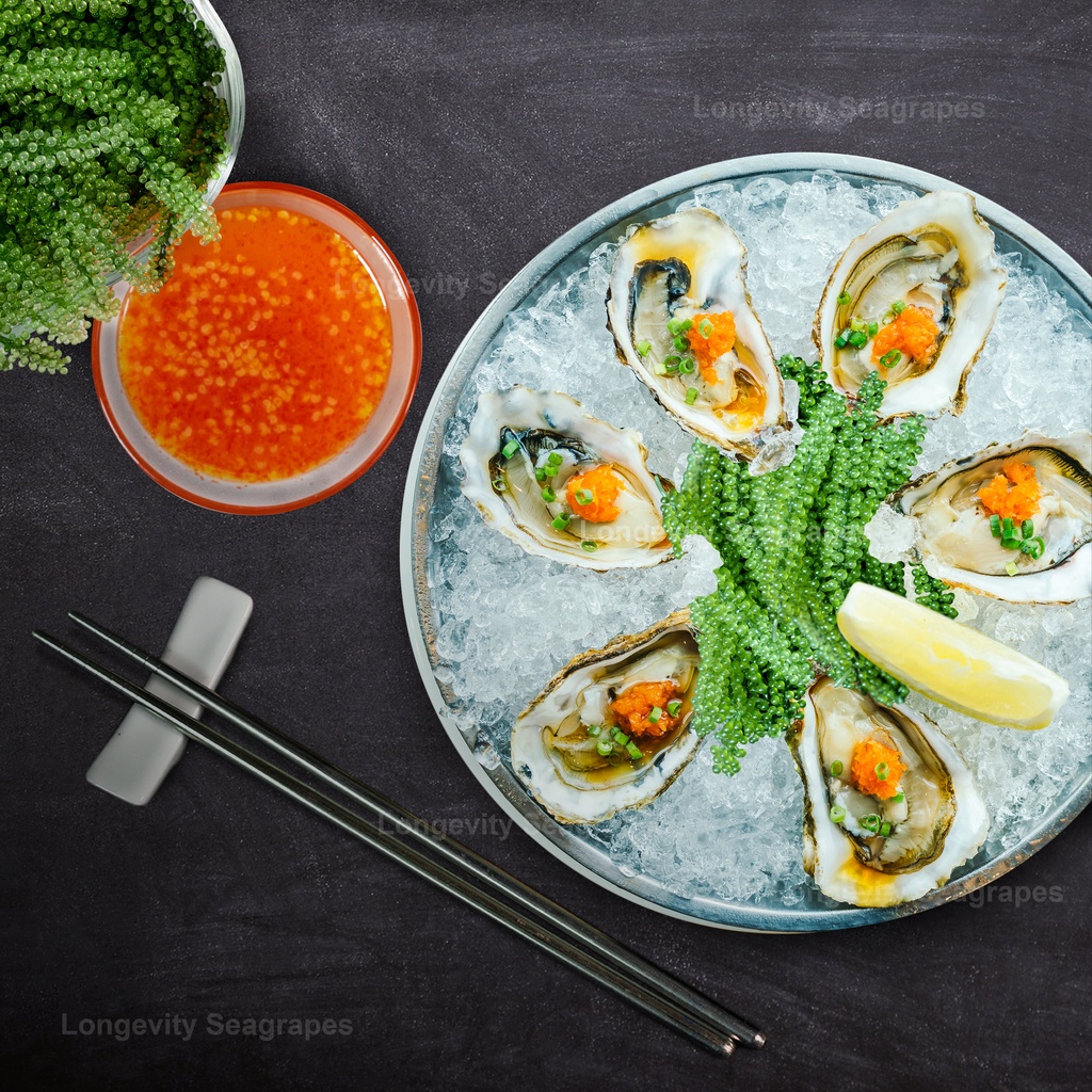 Rong Nho Trường Thọ - Rong nho tách nước 6 hộp 480gr nở ra 2,5 kg rong nho tươi giòn rộp rộp - hàng xuất khẩu Mỹ
