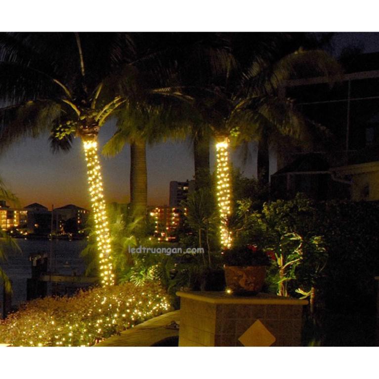 Dây trang trí đúc F5 quấn cây chịu nước 12V , Hàng chuẩn chống nước tuyệt đối ledthanhphat