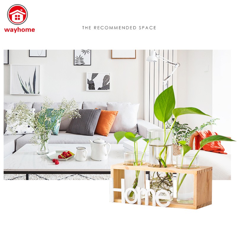 Đế Gỗ/Lọ Thuỷ Tinh Trồng Cây Trang Trí Nhà Cửa Độc Đáo