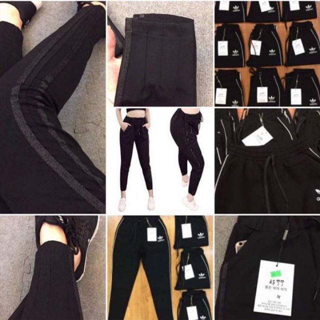 Quần nỉ Adidas nữ