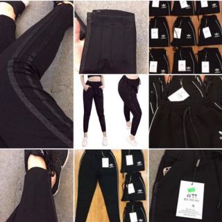 Quần nỉ Adidas nữ