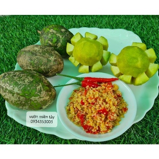 Cóc cầy vườn miền tây, cóc non - 1kg