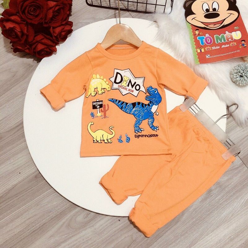 Bộ dài tay cotton bé trai 9-19kg