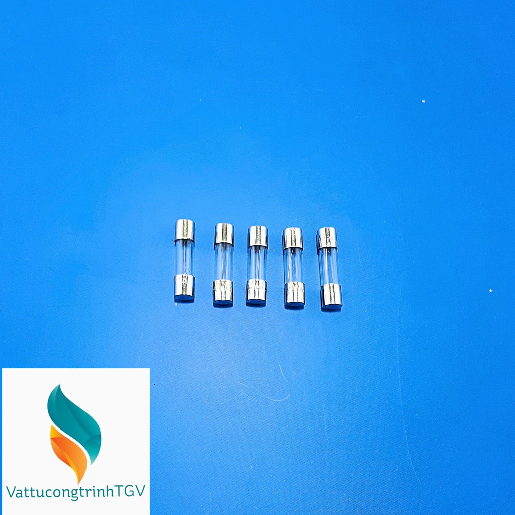 Bộ 5 cầu chì 1A (20*5mm)
