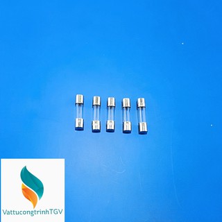 Bộ 5 cầu chì 1a