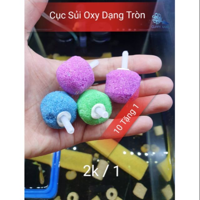Đá Sủi Oxy Tròn Cho Hồ Cá Cảnh - Loại Tròn To  - Guppy Xanh