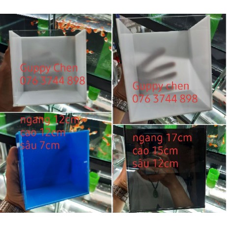 hồ show cá cảnh mica