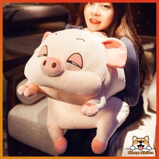 Gấu Bông Heo Lười Mắt Híp Size 70cm -