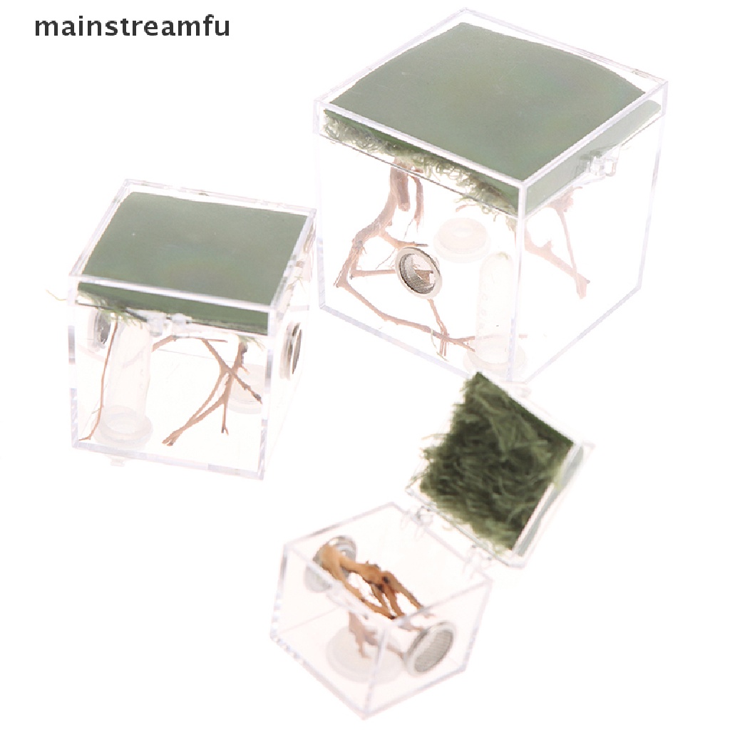 Hộp Nuôi Bò Sát Côn Trùng Nhỏ Trong Suốt Màu Đen Mới [Mainnstreamfu]