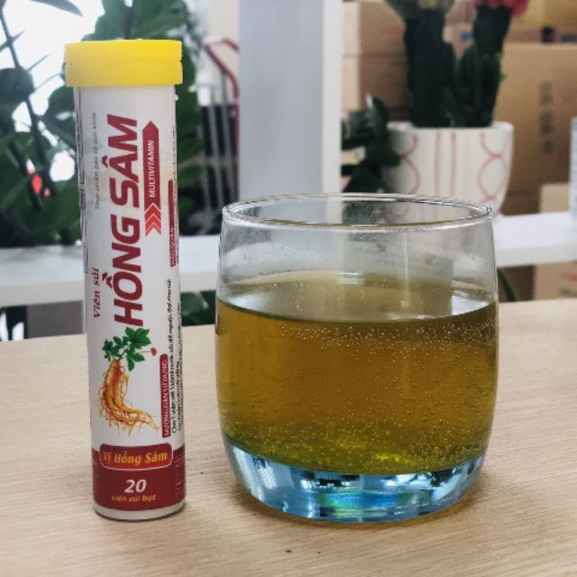 SỦI HỒNG SÂM, SỦI TĂNG LỰC zzs