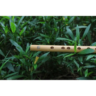 Sáo đô C5 (hàng biểu diễn)
