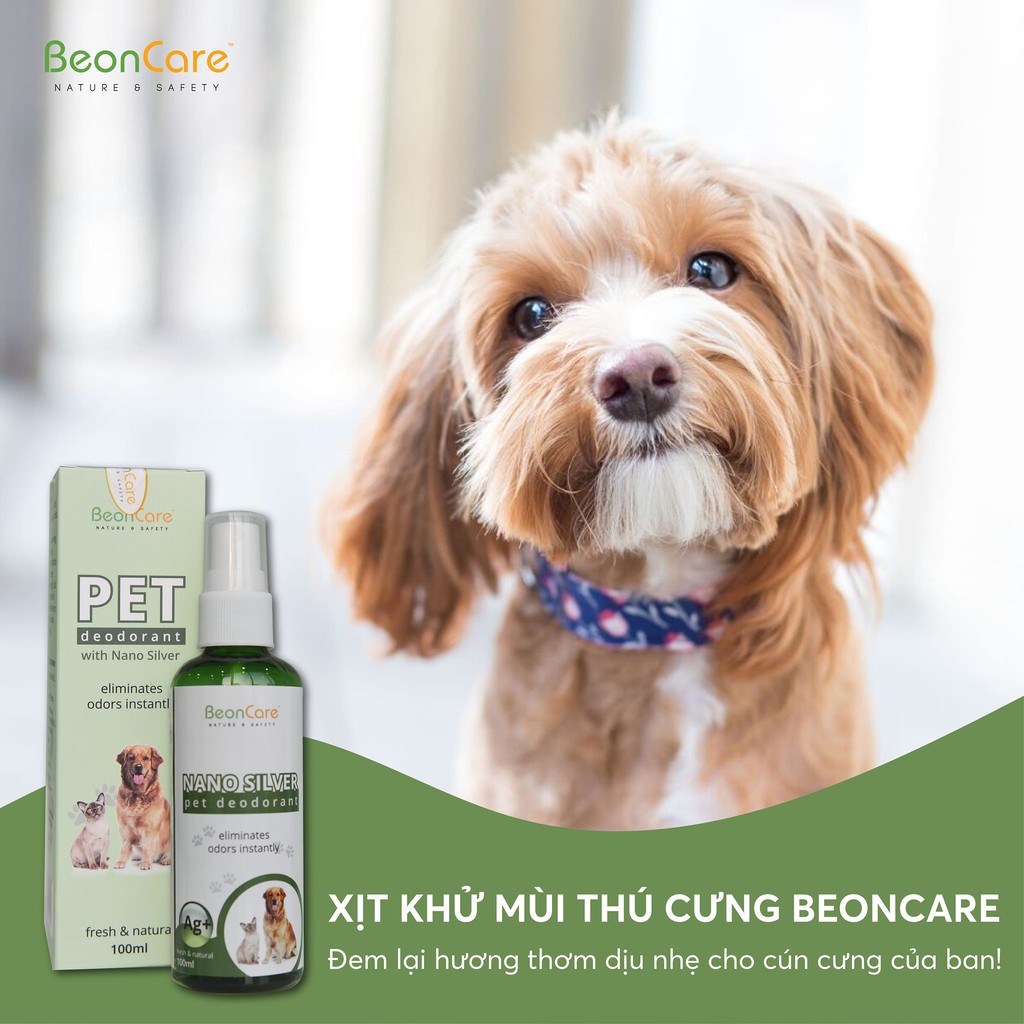 [Hiệu Quả Tức Thì] Pet Deodorant, Xịt Khử Mùi Thú Cưng, Khử Mùi Hôi Chó Mèo BeonCare, Sạch Ngứa - 100ml