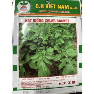 Hạt giống Rau Salad Rocket 🌱