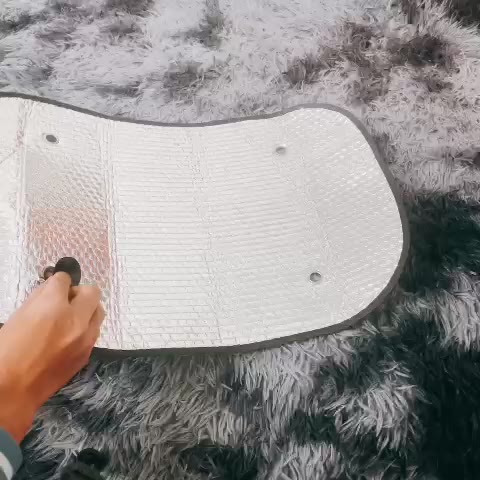 Miếng che nắng ô tô dạng tấm chắn