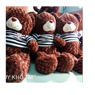 Gấu teddy cao 1m