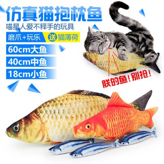 Cá catnip nhỏ 18cm