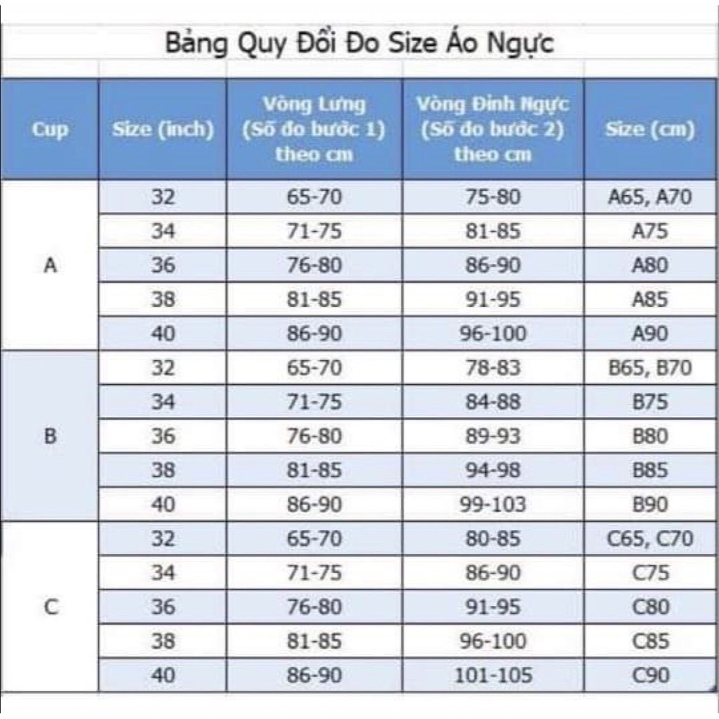 Áo ngực nữ su không gọng CXG ⚡FreeShip⚡ áo su đẹp nâng ngực, áo lót nữ su đúc đệm 3cm Hieustore24h A05 | BigBuy360 - bigbuy360.vn