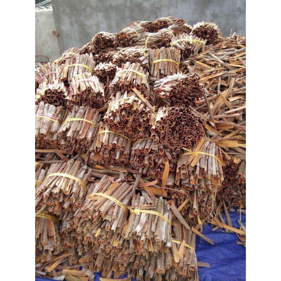 Hộp nhang nụ quế Dương Minh nhang sạch thành phần organic hữu cơ