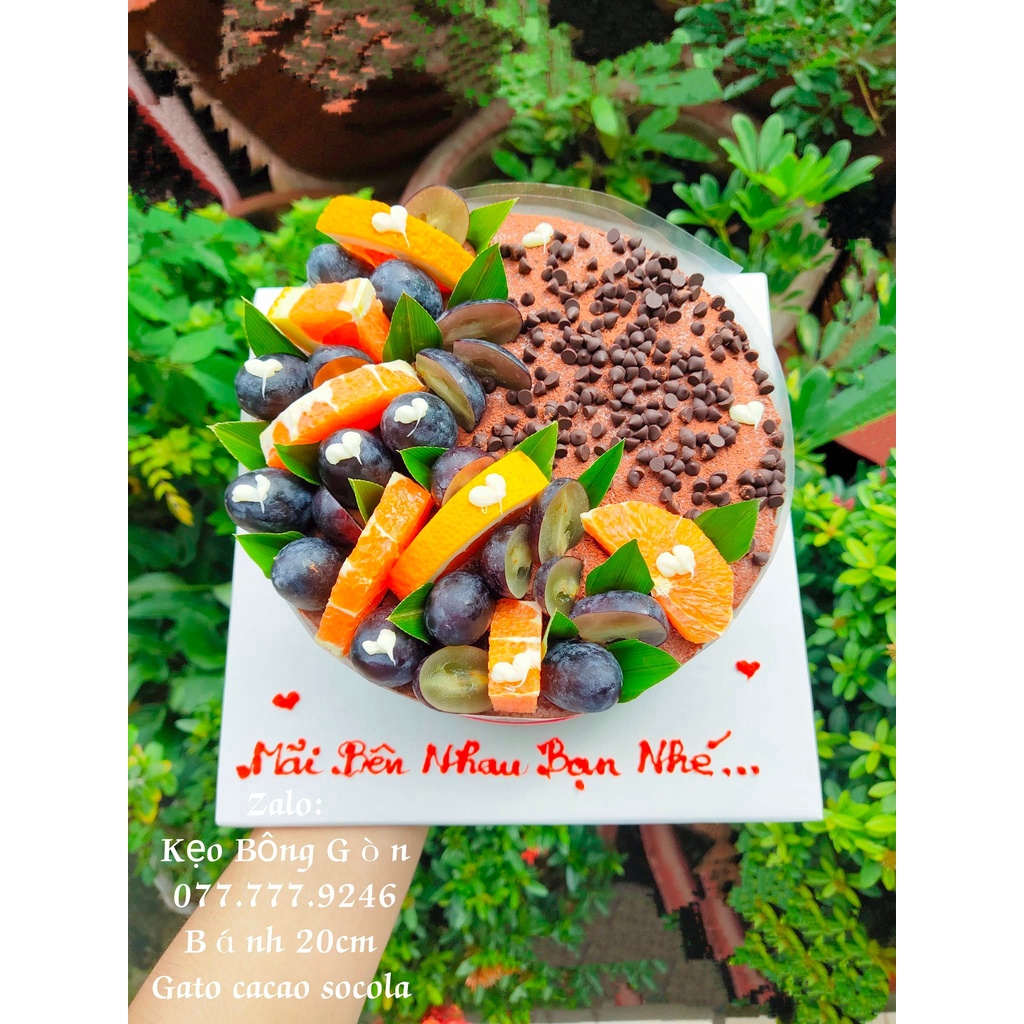 Socola chip đen Grand Place 100g