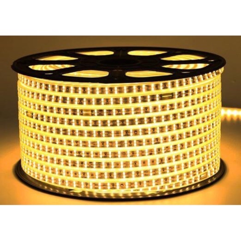 Combo 10 mét, 15 mét , 20 mét  Đèn Led Dây 2835 hai hàng bóng tặng dây nguồn