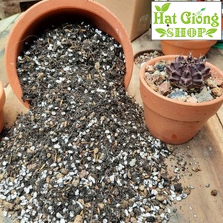 Đất trồng Sen đá,Xương rồng ( túi 1-kg )