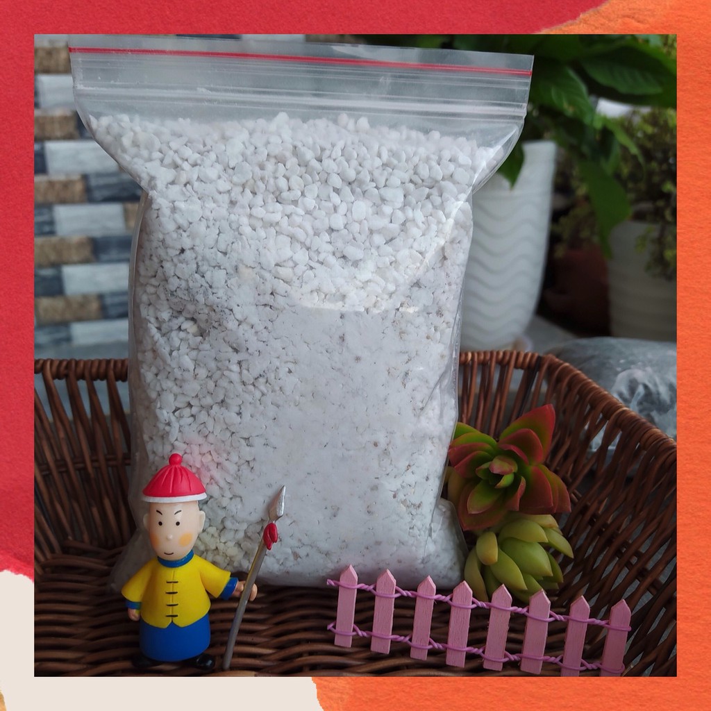 ĐÁ PERLITE - NGỌC TRAI (300g) 🌵  SIÊU PHẨM TRỒNG SEN ĐÁ, XƯƠNG RỒNG 🍀