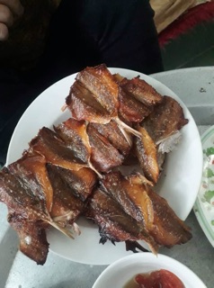 Cá chỉ vàng Qninh