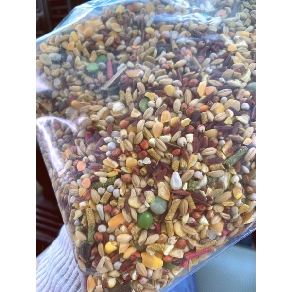 Ngũ cốc mix hạt giá rẻ - túi 1 kg