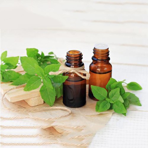 Tinh dầu húng quế nguyên chất ( Basil Essential Oil ) GUTY Lọ 100ml