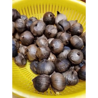 Nồi làm tỏi đen cao cấp