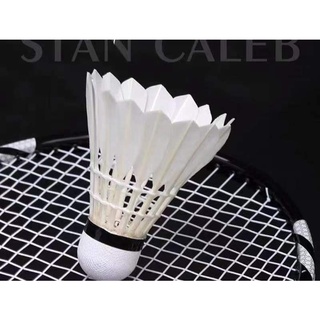 CẦU LÔNG HẢI YẾN ỐNG XANH