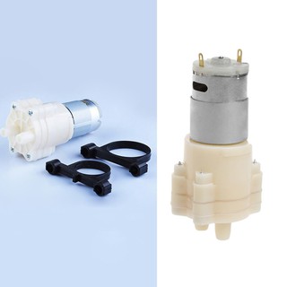 Động Cơ Bơm Nước Mini 12v